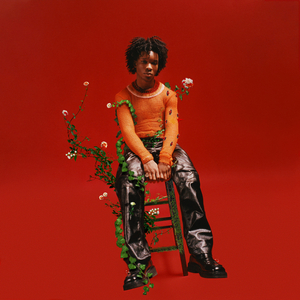 摄像头 间谍 隐 Tube年轻
